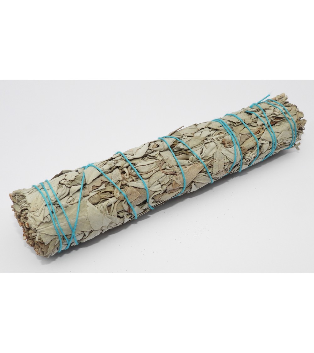 Sauge Blanche
Fagot 100gr Sauge Blanche
Fagot 100gr