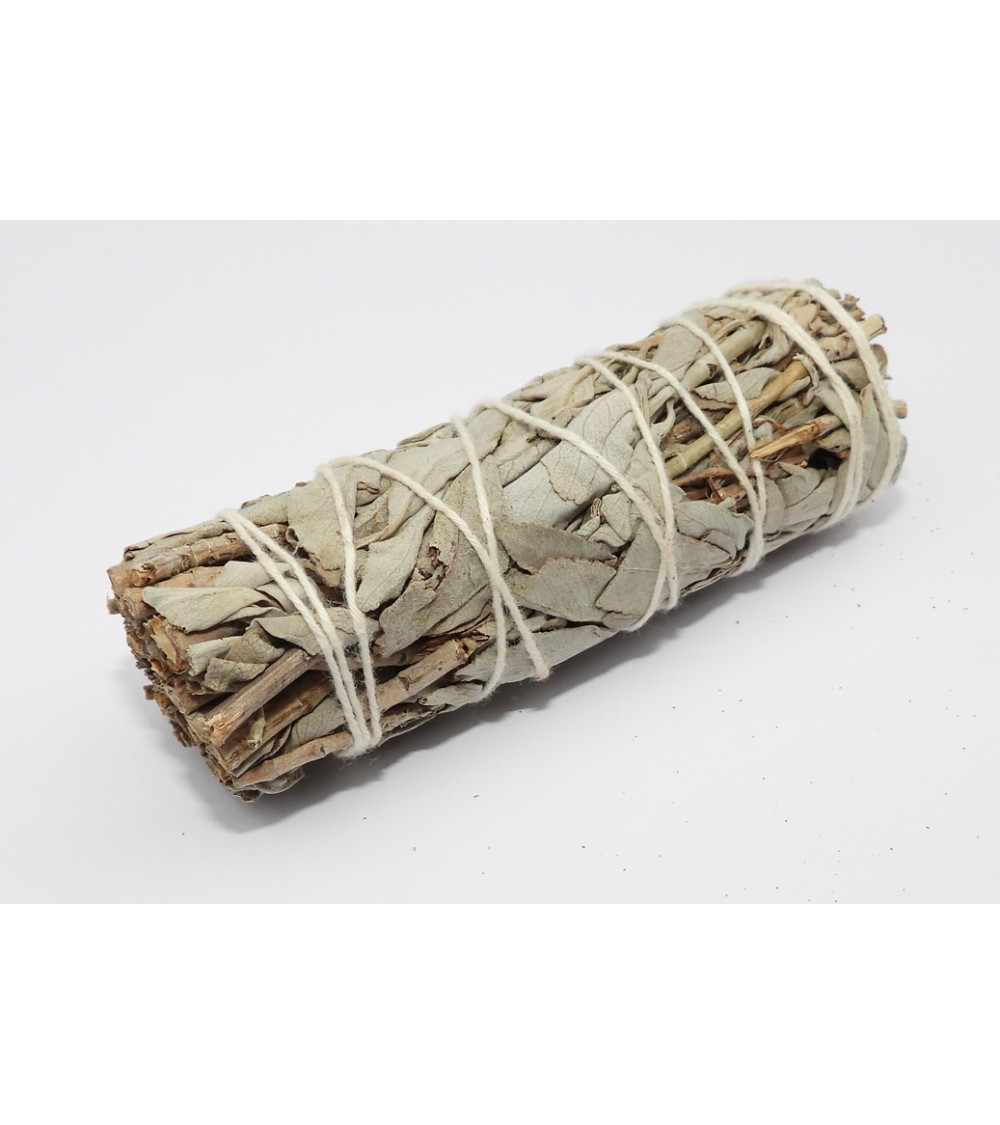 Sauge Blanche
Fagot 25gr Sauge Blanche
Fagot 25gr