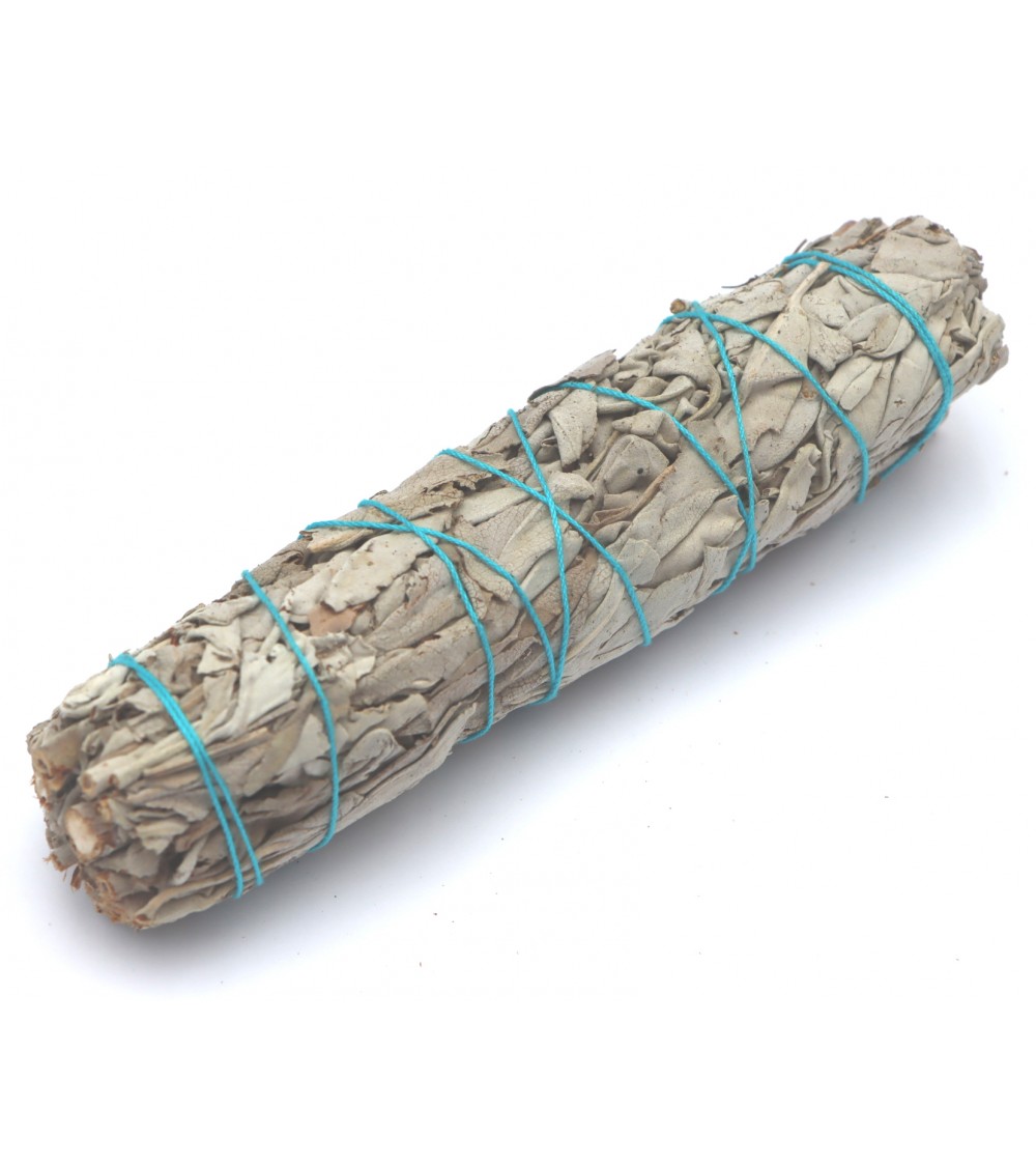 Sauge Blanche
Fagot 45gr Sauge Blanche
Fagot 45gr