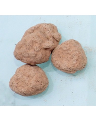Fossiles de Banchiang